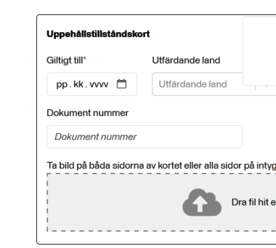 swe10